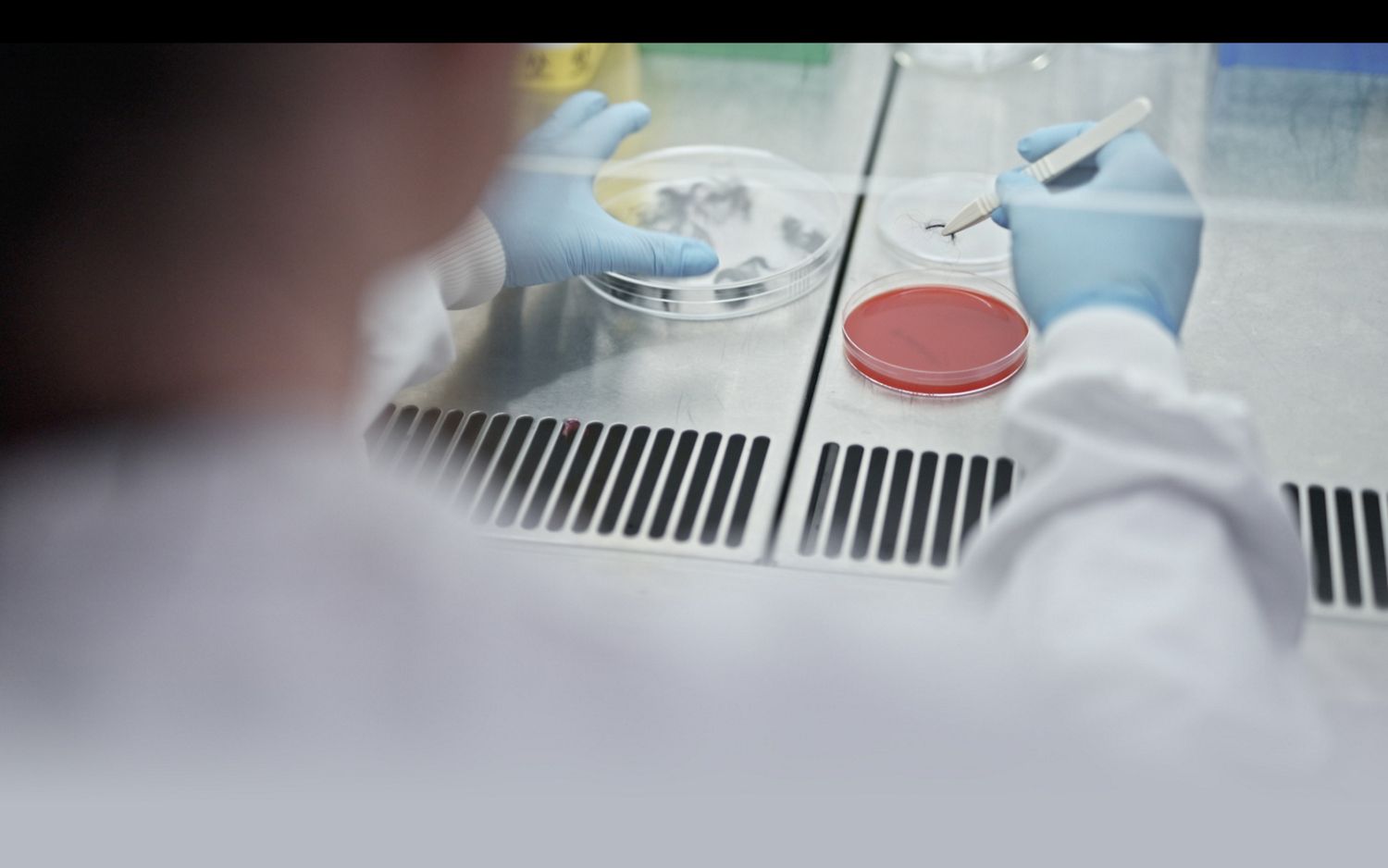 Microbiologistes de Dyson qui étudient des particules microscopiques.